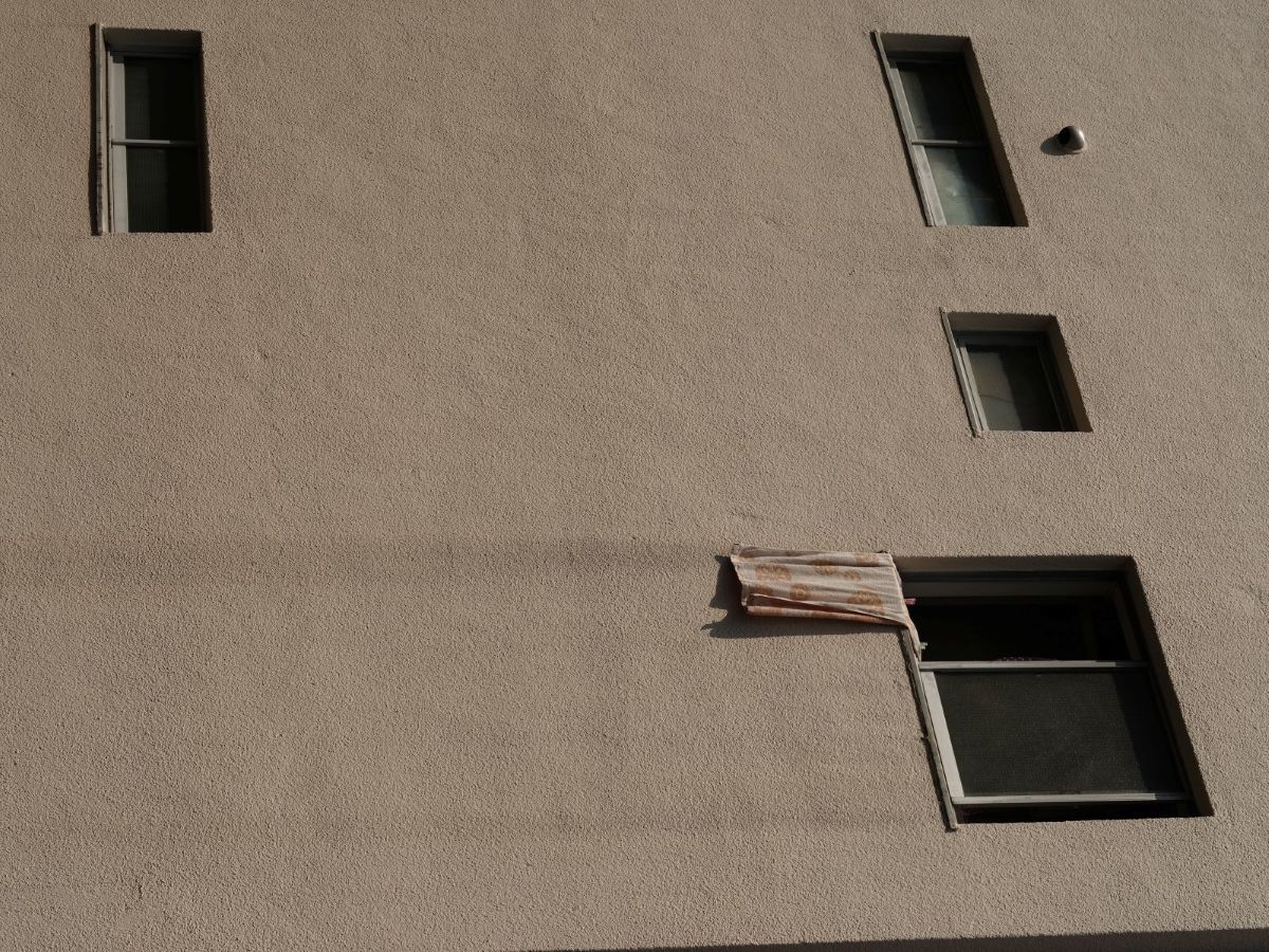 Sedimentation of Vision