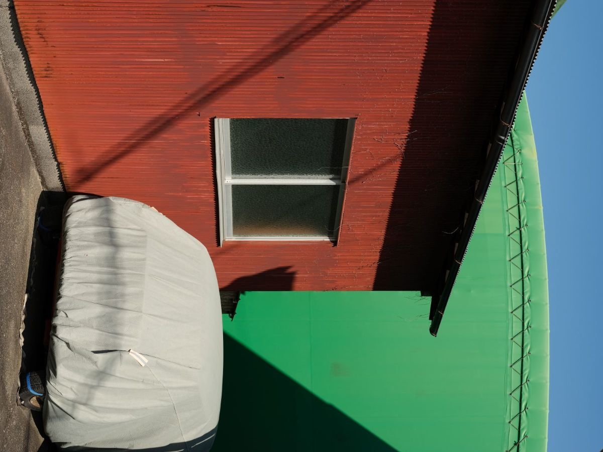 Sedimentation of Vision