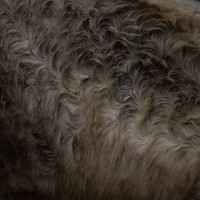 Spectral Pastoral