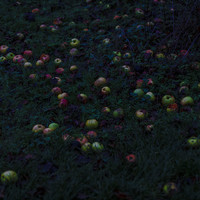 Spectral Pastoral