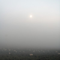Spectral Pastoral