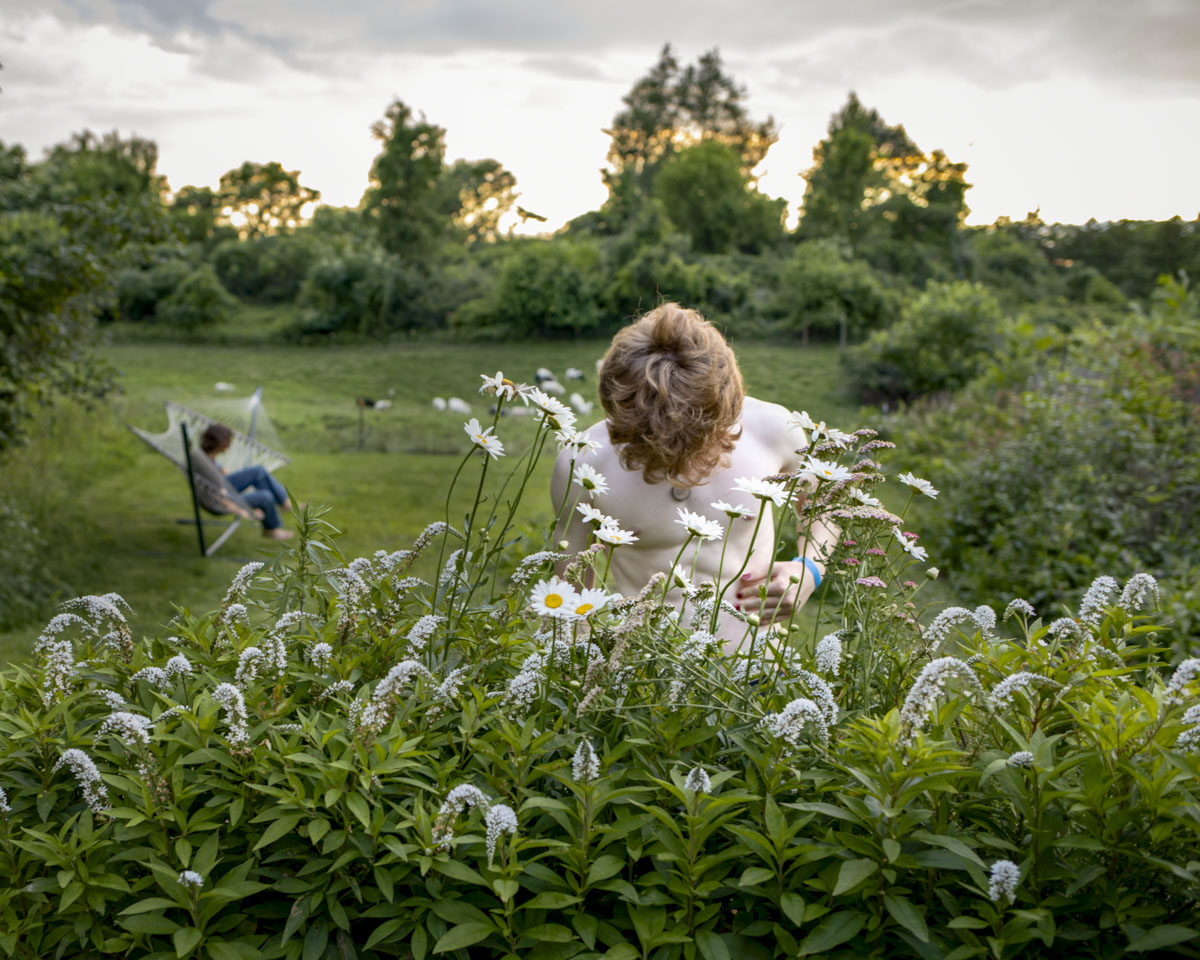 Boys in the Garden