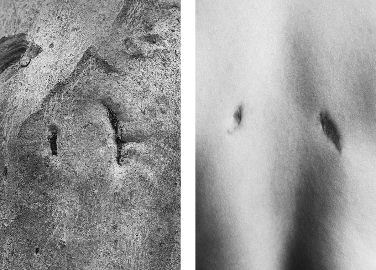Bodyscapes