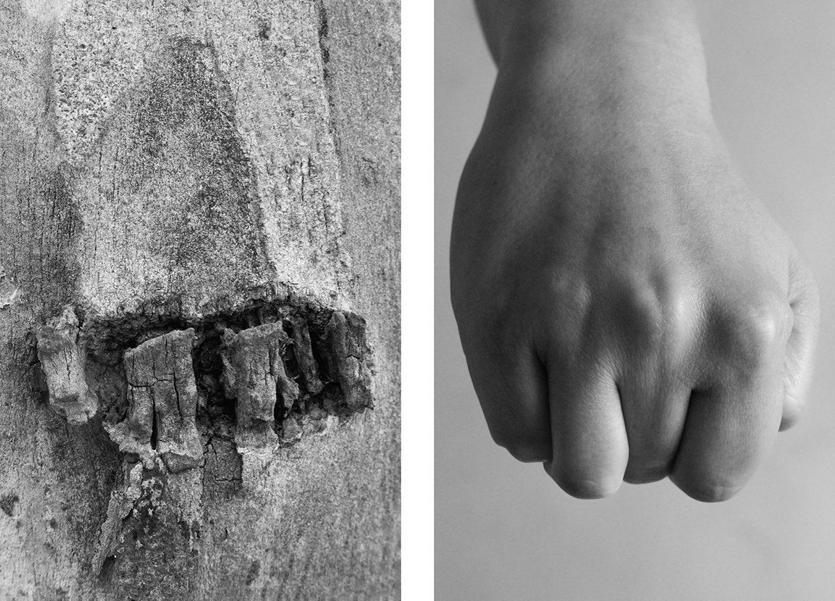 Bodyscapes