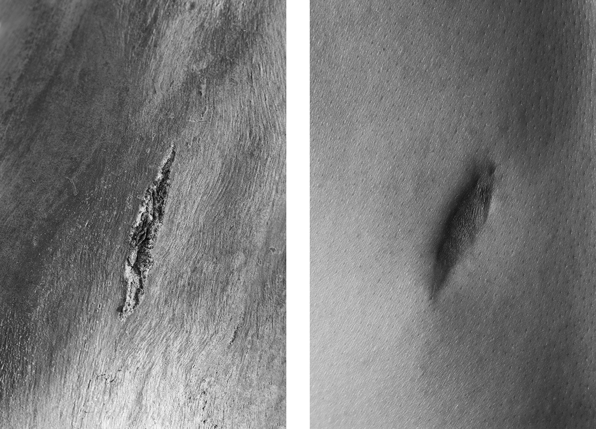 Bodyscapes