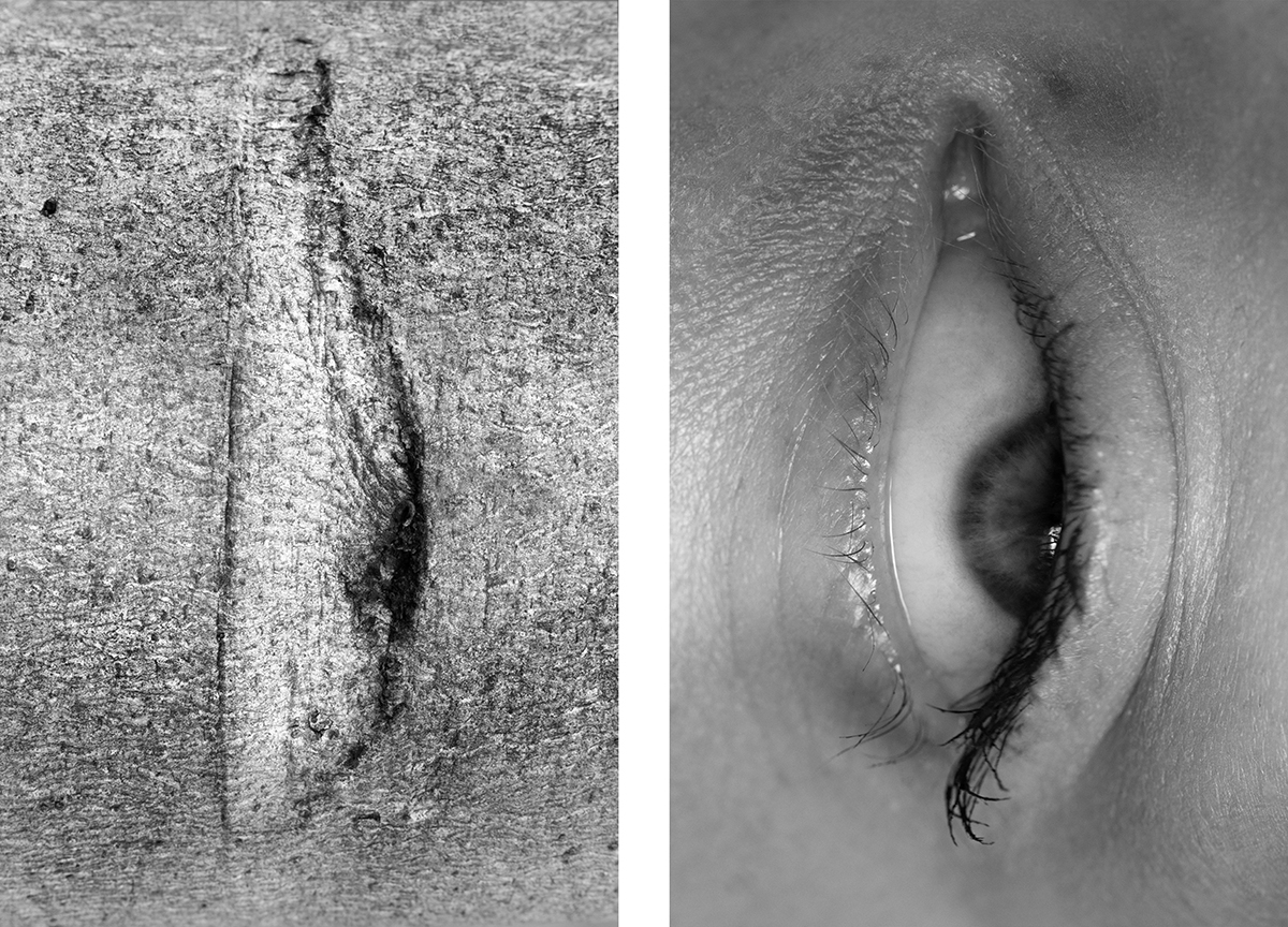 Bodyscapes
