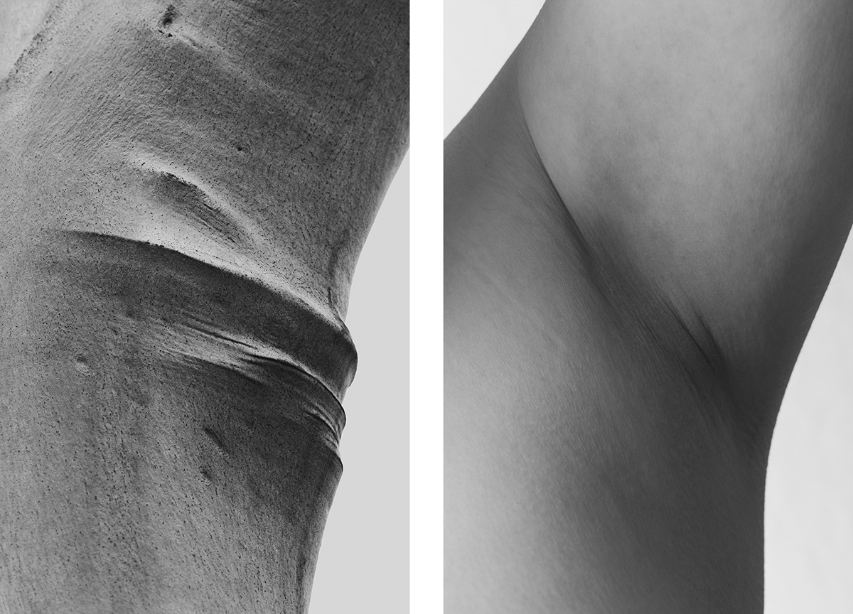 Bodyscapes