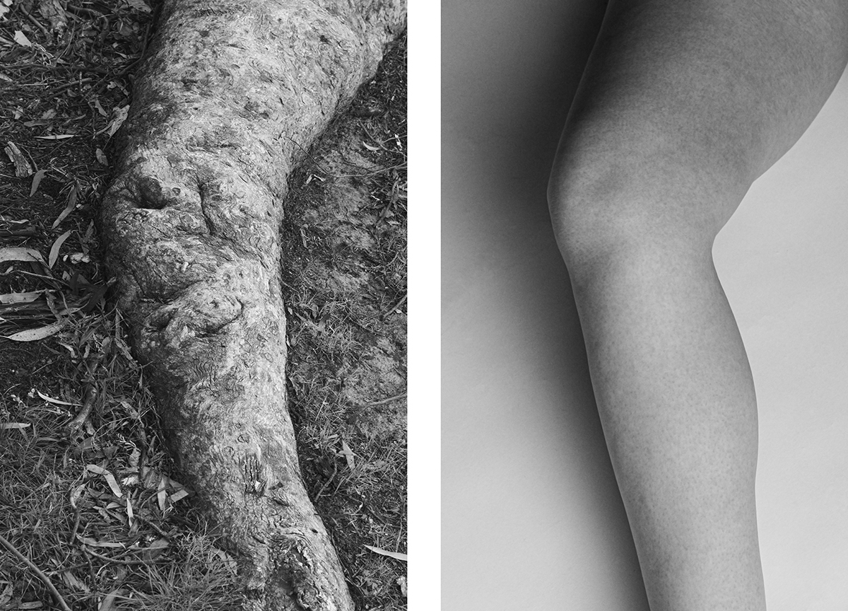 Bodyscapes