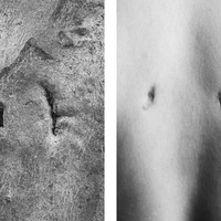 Bodyscapes