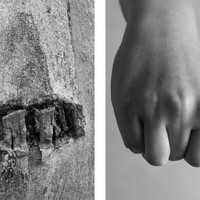 Bodyscapes
