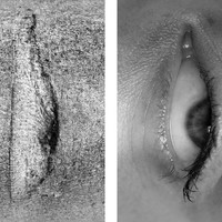 Bodyscapes