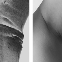 Bodyscapes