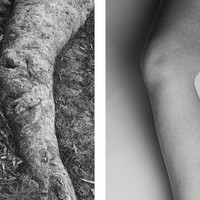Bodyscapes