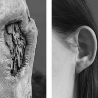 Bodyscapes