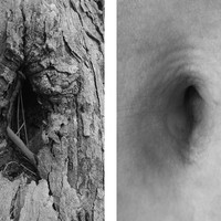 Bodyscapes