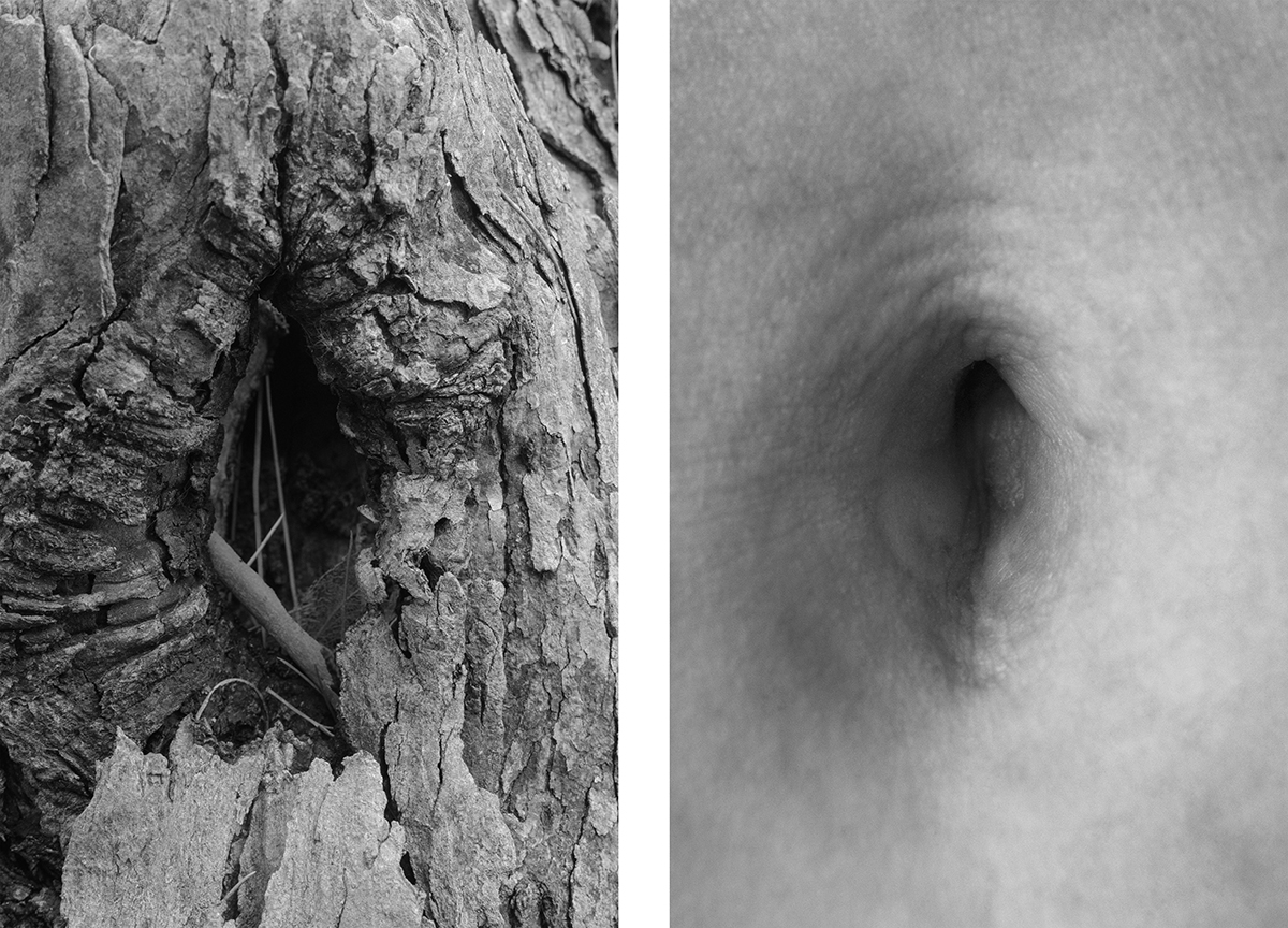 Bodyscapes
