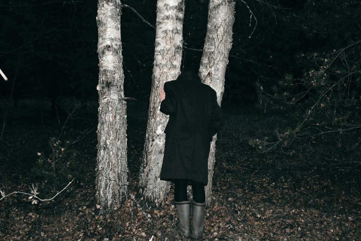Understory