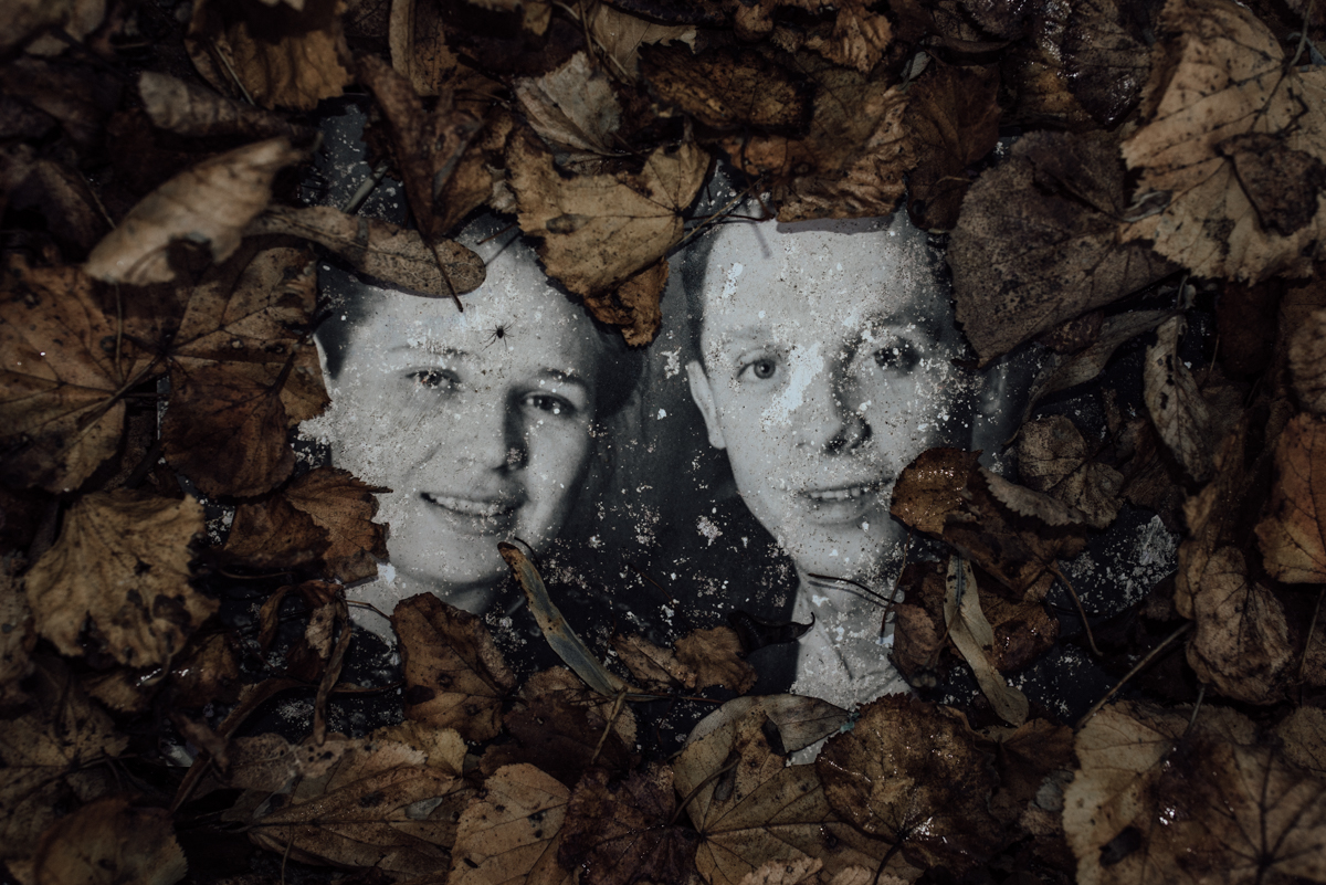 Understory