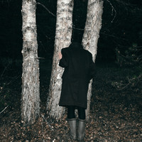 Understory