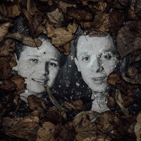 Understory