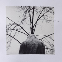 Becoming Stone, Becoming Body