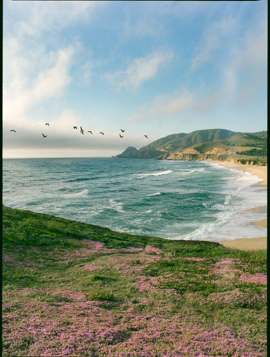 The First Breath of Spring