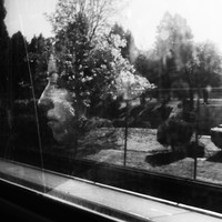 Ephemeral beauty