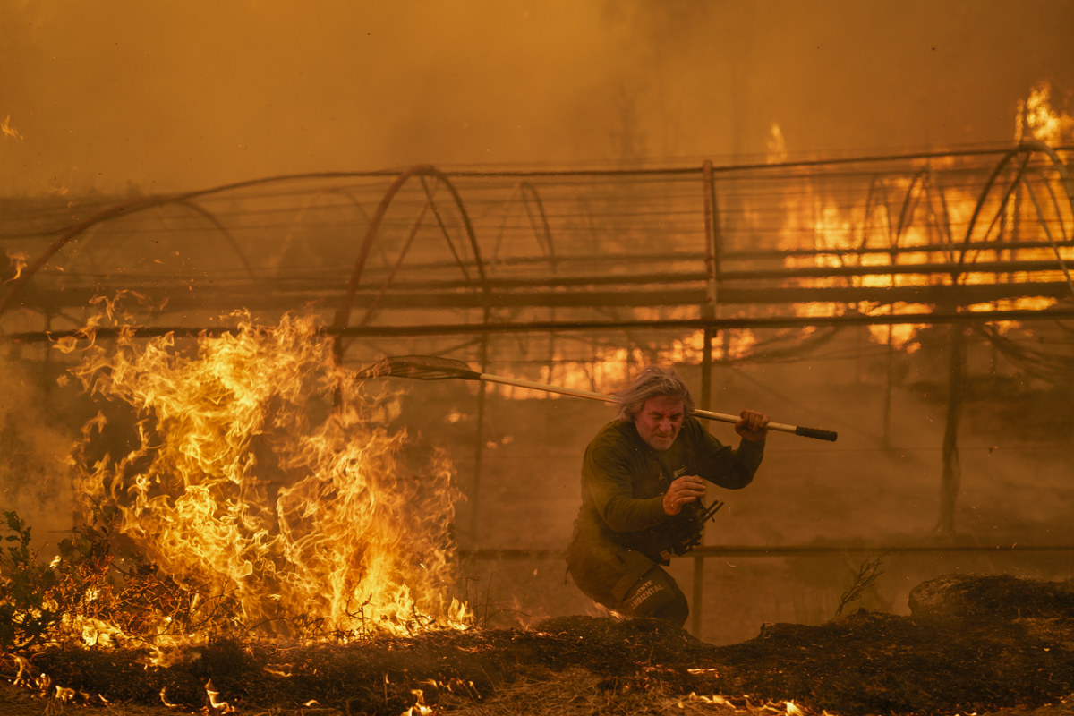 Burned Land