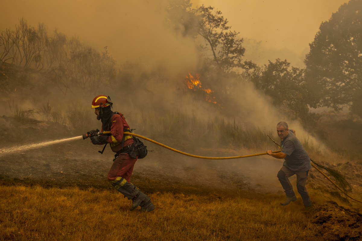 Burned Land
