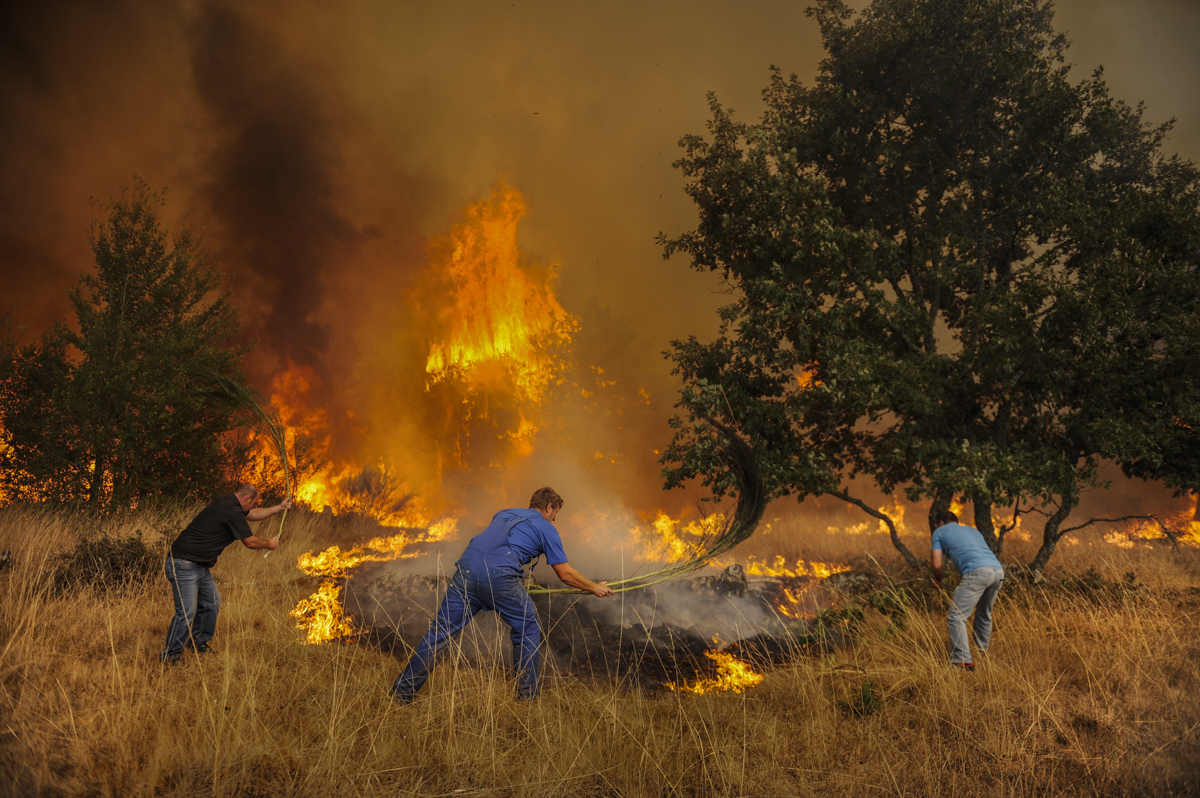Burned Land