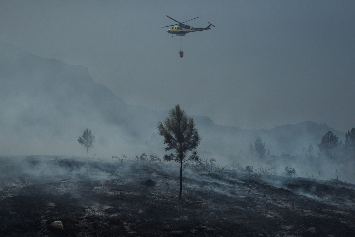 Burned Land