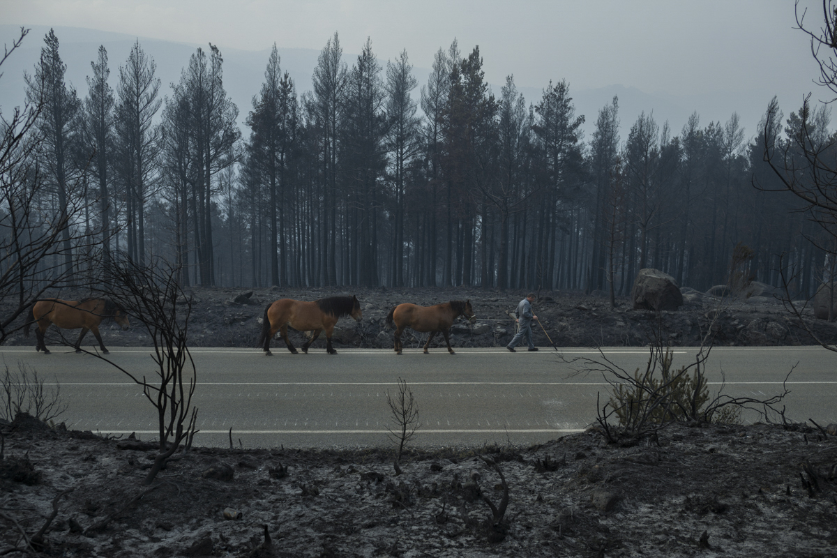 Burned Land
