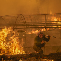 Burned Land