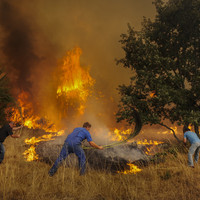 Burned Land