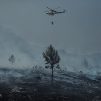 Burned Land