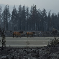 Burned Land