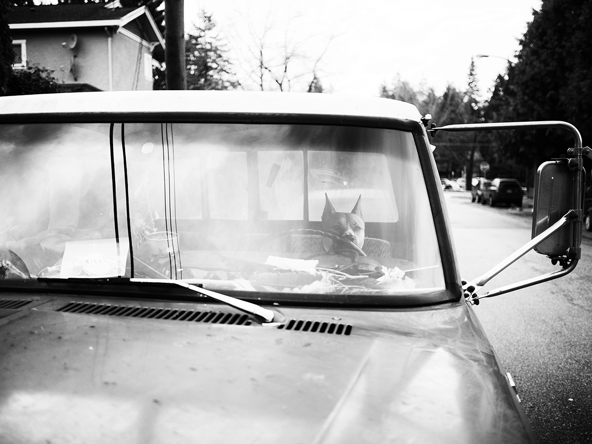 Driver