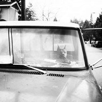 Driver