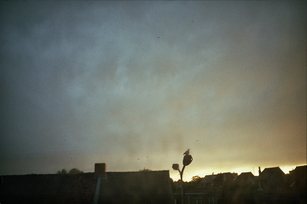 Your sadness is mine (but so is your joy)
