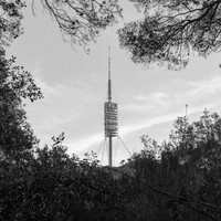 Transmission from the Telos
