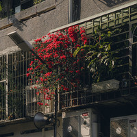 ​Home