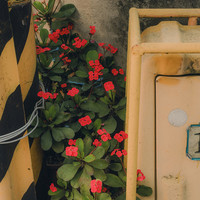 ​Home