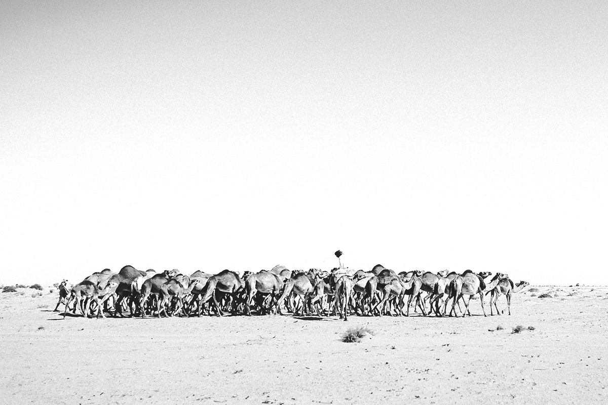 Instants désert(s). Mauritanie. 