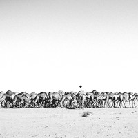 Instants désert(s). Mauritanie. 
