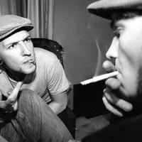 Wilde & Free