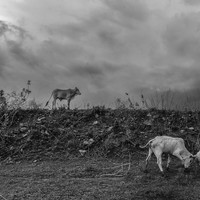 Binary – Duality of Being