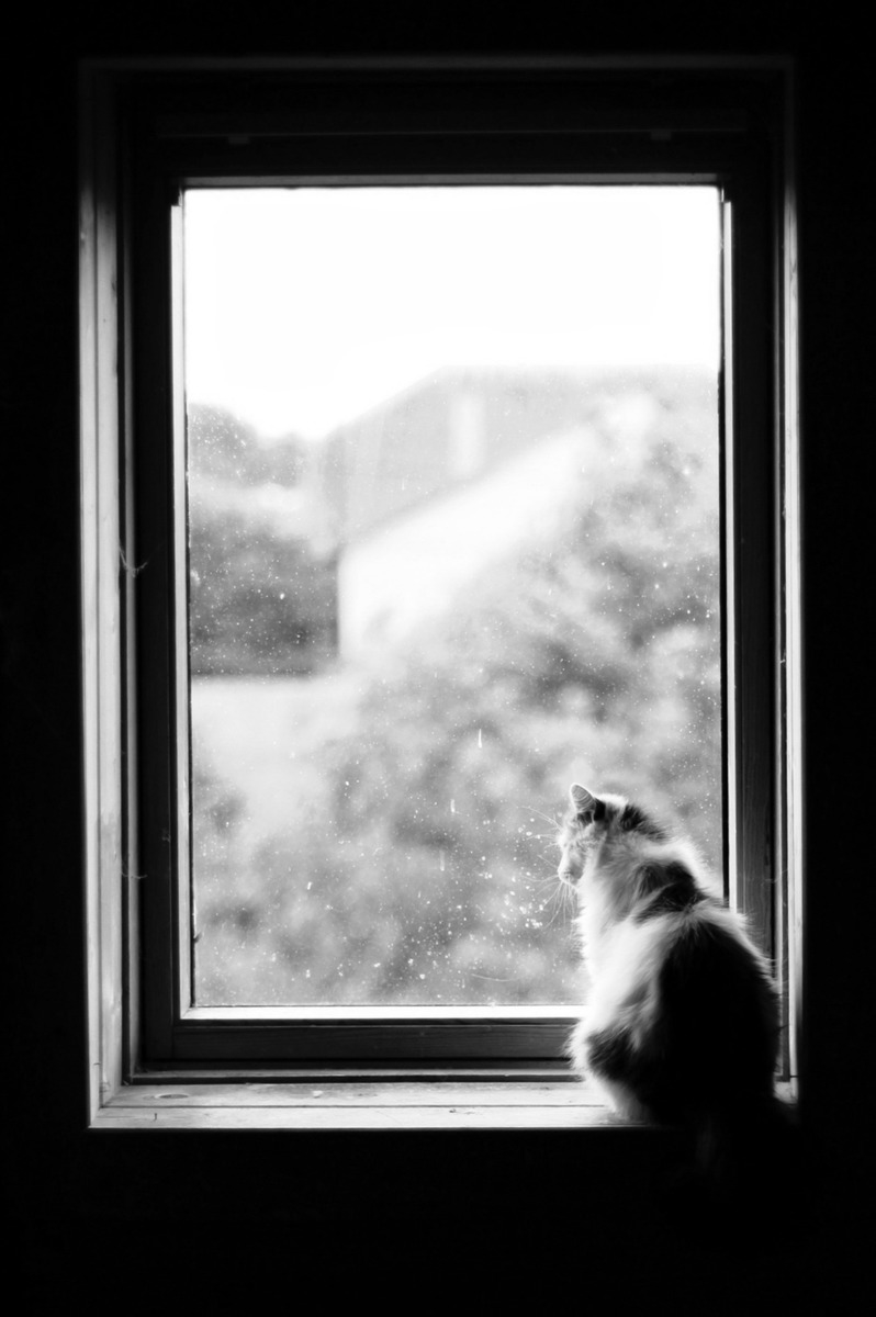 And it's raining outside again...