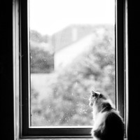 And it's raining outside again...