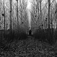 Asylum