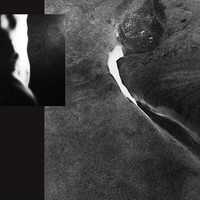 Carriers (Inversion Study) II